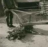 Årder, kam- och vattenfåror.