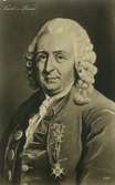 Vykort, reproduktion av en målning föreställande Carl von Linné.