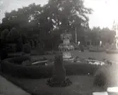 Widebergs trädgård