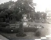 Widebergs trädgård