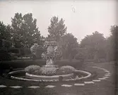 Widebergs trädgård