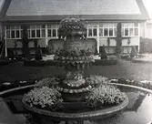 Widebergs trädgård