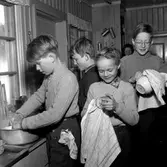 Vintergårdens vinterläger i Klunkhyttan.
20 februari 1956.