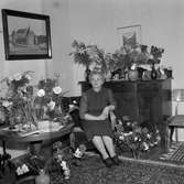 Ruth Larsson 50 år.
28 april 1956.