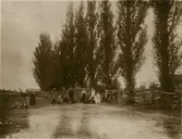 Folksamling vid gärdsgård på Björnö.