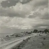 Strandvägen i Äleklinta.