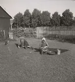 Två kvinnor på en gräsmatta.