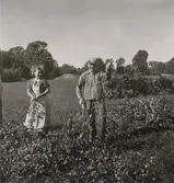 Lövtäkt eller hamling.

Lövtäkt, beskärning av lövbärande kvistar som vanligen torkas för att användas till foder. Lövtäkt var mycket vanligt i Sverige fram till början av 1900-talet och är vanligt över hela världen i områden med kalla vintrar och lövfällande träd. Källa: Nationalencyklopedin.