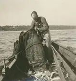 Jonas Olsson i Svartvik.
Ålbottengarnsfiske.