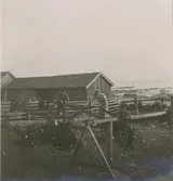 Nät rensas och hängs på tork i Svartvik i Böda.