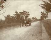 Södra landsvägen på väg till Aug Meurlings i Smedby den 3 aug 1893.
