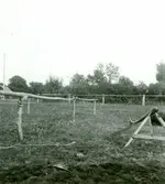 Skötstänger i Tokenäs.