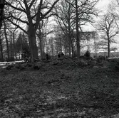 Fornlämningsliknande stensamling norr om gården från nordöst.