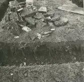 Skelettfynd i Äleklinta.