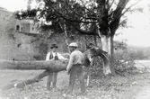 Julistormen 1931. Fläkt lönn utanför slottet. Innan vallgraven återställdes. Från vänster: Inge Karlsson, Karl Enström.
