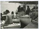 Fiskförsäljning i gamla Ölandshammnen.