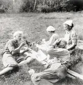 Kafferast i gröngräset.