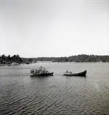 Pråm med hö i Älösundet.