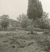 Undersökt av J.E. Anderbjörk.