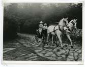Två damer i vagn, förspänd med två vita hästar. Bild från Skälby gård 1924.