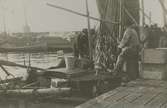 Fiskare tar i land sin fångst i Kalmar hamn.