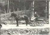 Elis Tolf i Uddekvarn, med häst och vagn.