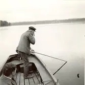 Fiskaren sprutar ut brödsmulor över vattnet i Allgunnen, där han sänkt ned håven för att locka löjorna.