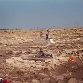 Arkeologisk utgrävning, Eketorps borg, Gräsgård. 28 juni.