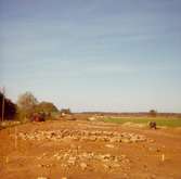 Utgrävning pågår vid ett gravfält i Folkeslunda.