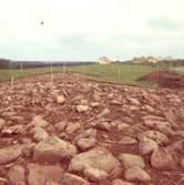 Pågående utgrävning av gravfält i Algutsrum.