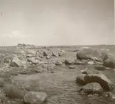 Kårö. Hav och strandkant med stenar.