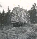 Ett flyttblock i Skäfshult

Flyttblock

Foto M. Hofrén 1947.