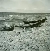 Ekor på en strand med kalksten.