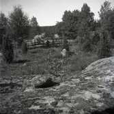 Primitiv åker på bergsplatå vid byn.