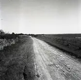 Vägparti strax söder om Ålkistan.