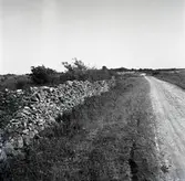 Vägparti strax söder om ålkistan.