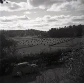 Utsikt över dalen, från kyrkogården i Tryserum.