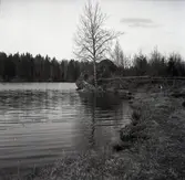 Långsjön, vy vid sjö.