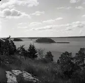 Syrsan från Synnerstads stuga.