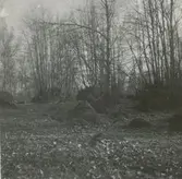 Gammal åker med odlingsrösen; högt belägen på en ås.