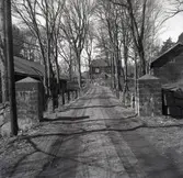 En allé vid Ankarsrums bruk.