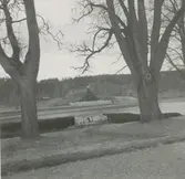 Ett lusthus vid viken.