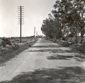 En grusväg med telefonledning.