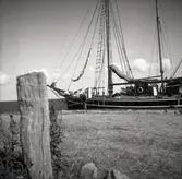 Träskutor vid bryggan.