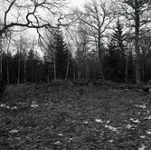 Fornlämningsliknande stensamling norr om gården från sydväst.