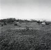 Jordtorpsåsen. Gravfältet på åsryggen i Holmetorp.