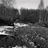 Nyanlagd väg över sankmarken norr om åsryggen.