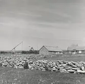 Fiskeläge i Gullehamn.