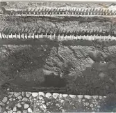 Arkeologisk utgrävning inför byggandet av nya landstingshuset. Bastionens nordöstra del samt ett stycke av pålverket.