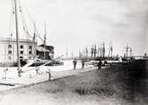 Vy med drivis vid Ölandshamnen.
Foto: den 18/5 1889